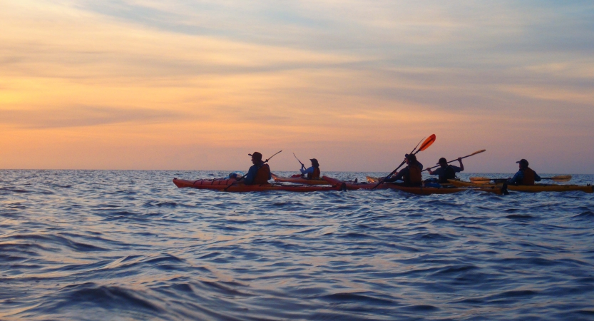 The sky appears in gentle colors as a group of people paddle kayaks on open water